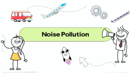 Noise Pollution