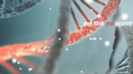 DNA having radioactive K-40