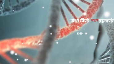 DNA having radioactive K-40