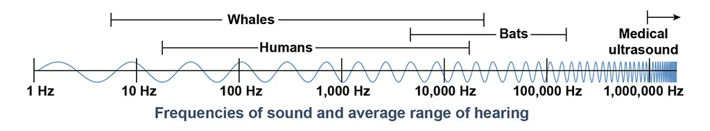 Frequency measured in Hertz(Hz)