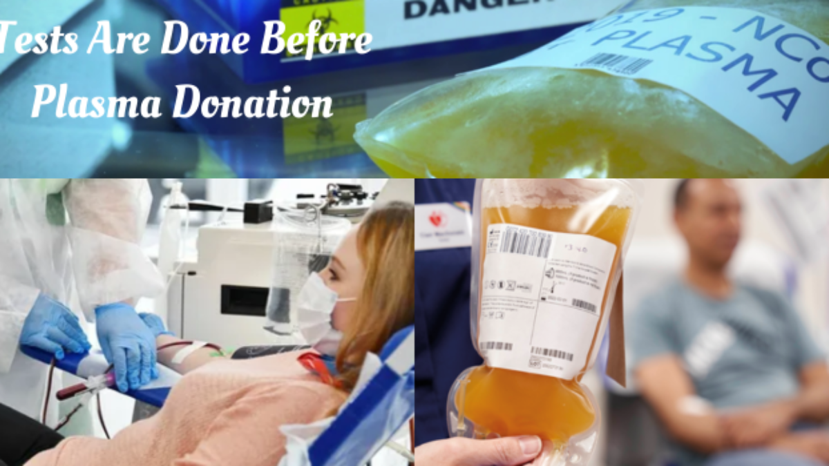 What Tests Are Done Before Plasma Donation