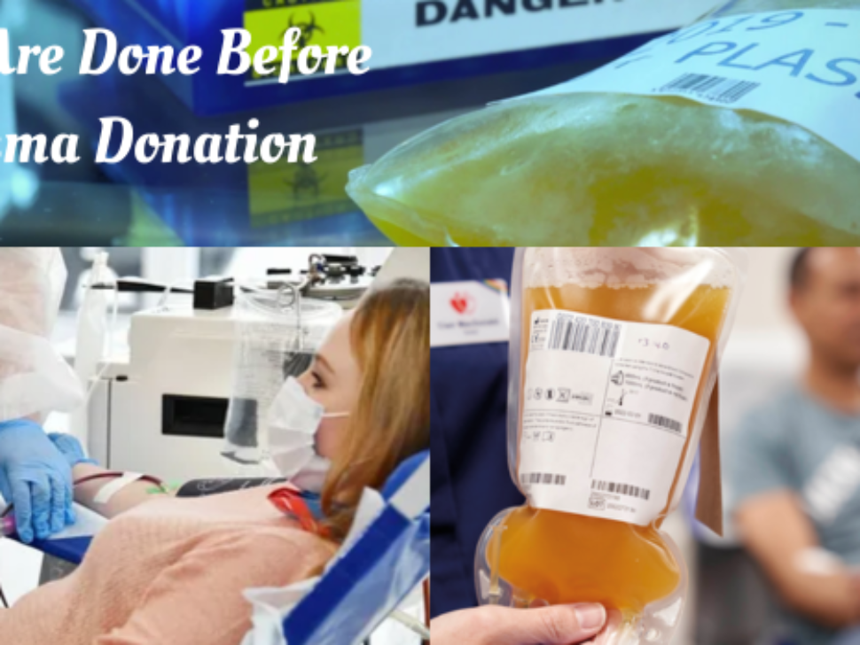 What Tests Are Done Before Plasma Donation